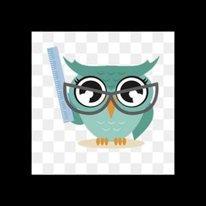 蓝色猫头鹰L 头像