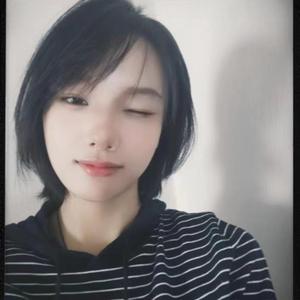 左轻 头像