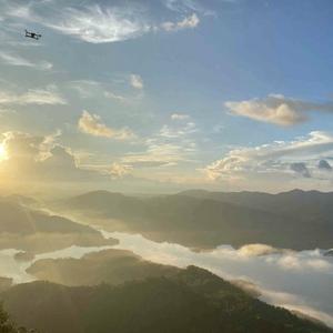 别吵西红柿 头像