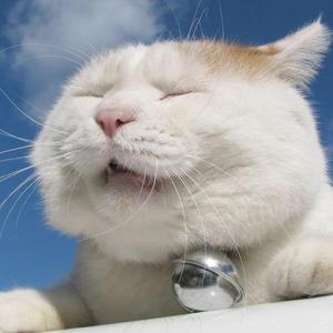 小新动漫剪辑cc 头像