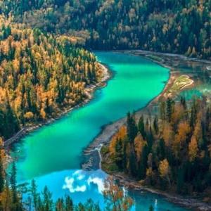 智勇双全蜻蜓Rt 头像