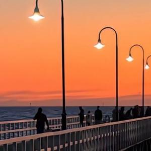 自由的星辰uF 头像