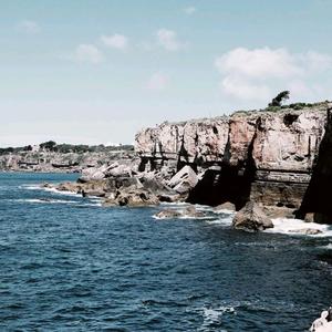 细狗看世界 头像