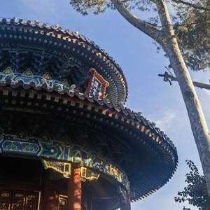 小泽成长中 头像