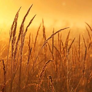 哪吒剪辑影音 头像