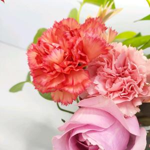 开心人生7877 头像