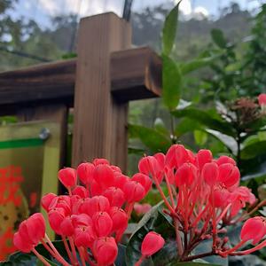 月亮侃娱乐 头像