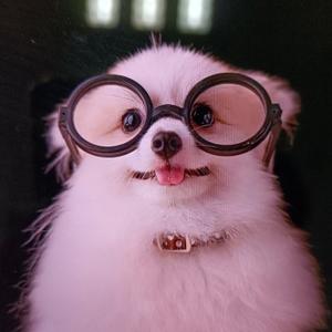 谈天说地君 头像