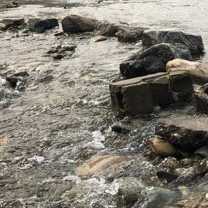 我梦里的乌托邦 头像