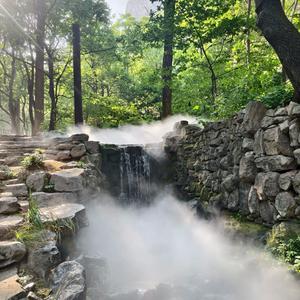 努力的锅锅 头像