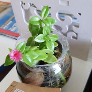 话是说给愿意听的人
