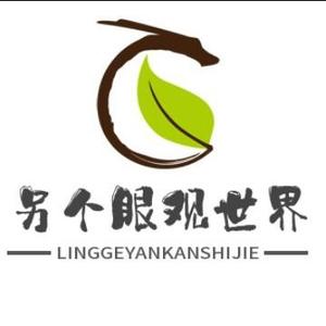 另个眼观世界 头像