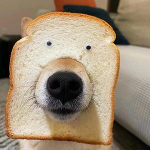 婧婧带你看视频 头像