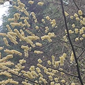 缘分天空城 头像