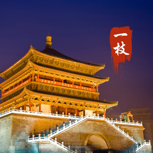 一枝叙 头像
