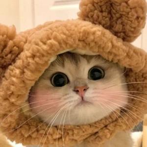 上进雪碧s 头像