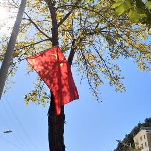 生活就像狗尾巴草 头像