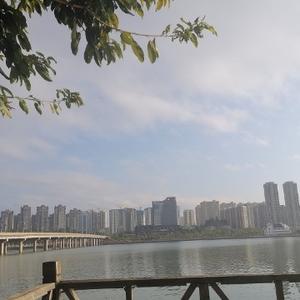 洒脱露珠tU 头像