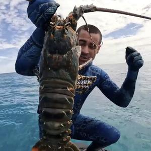 YouTube老歪 头像