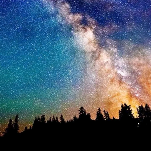 安逸轮船FR 头像