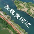 家在黄河边 头像