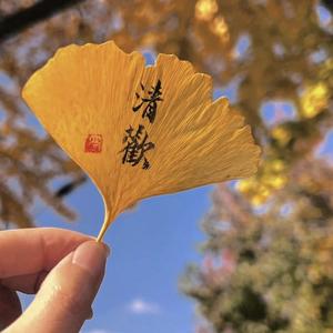 小宇聊八卦 头像