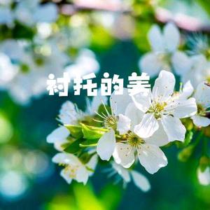 深林妙音