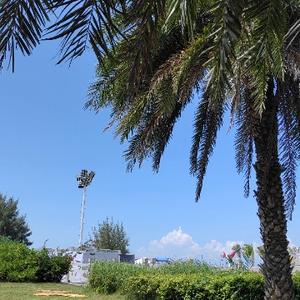 西徐亚的雪 头像