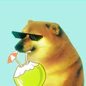 Cheems窃梦师 头像