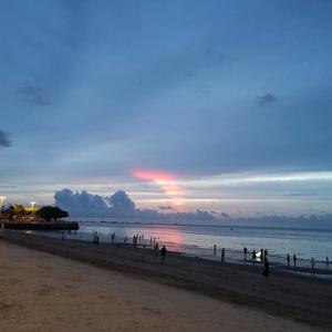 梦想大海的猫 头像