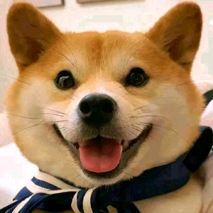 痴呆永劫无间 头像