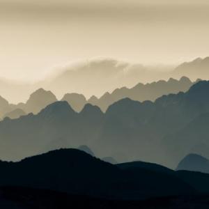 方可纵浪大化 头像