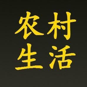 我的新农村新生活 头像