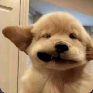 小白文章. 头像