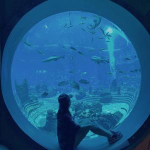 Lqzuzu想当富婆 头像