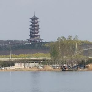 国冀庄天哥 头像