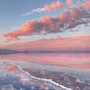 雪野中留下足迹 头像