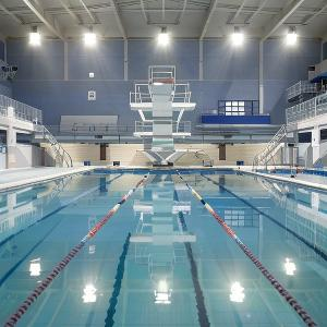 竹里闲适品茶 头像