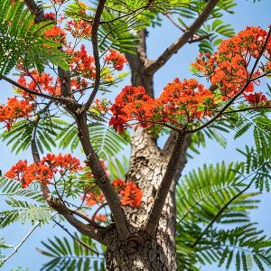 街道旁邂逅老邮筒 头像