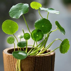 积极向上的力量 头像