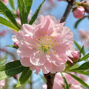 在野外诗意地露营赏星 头像