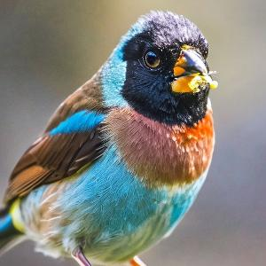 街道上飘来的酒香 头像