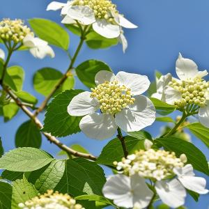 雪地勇敢攀冰川 头像