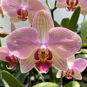 基金新手启航 头像