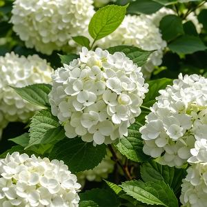 雨中赏花的浪漫者 头像