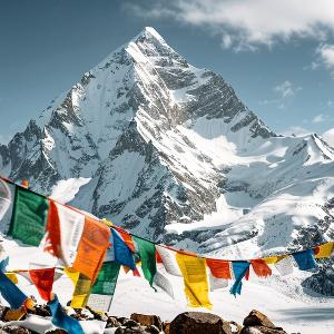 花田痴迷闻花香的人 头像