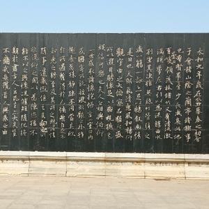 青山长存ZaJk