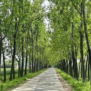 远见卓识小鱼MRo 头像