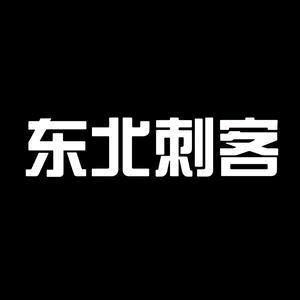 后手很重(东北刺客)头像