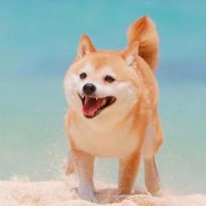 紫唇呐 头像